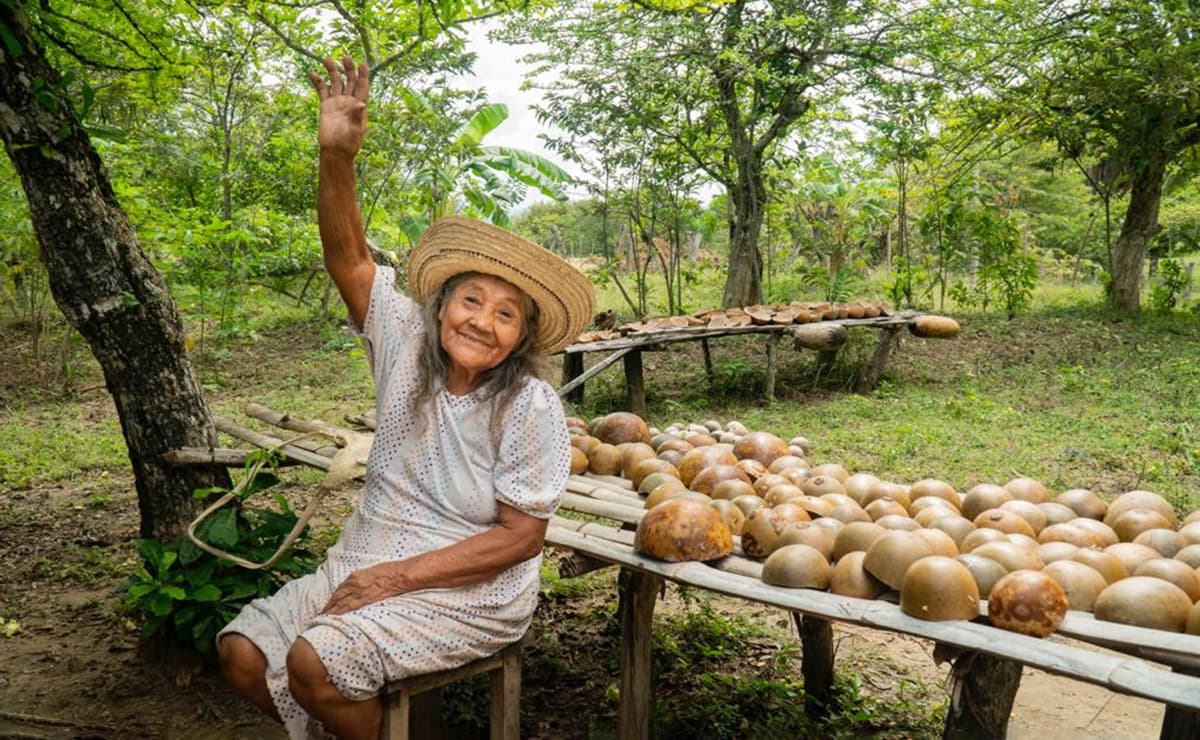 Miniatura del video institucional de Pijaos Salud EPS-Indígena