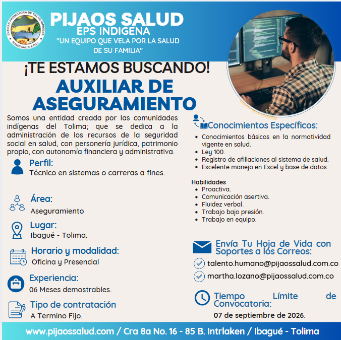 Auxiliar de Aseguramiento