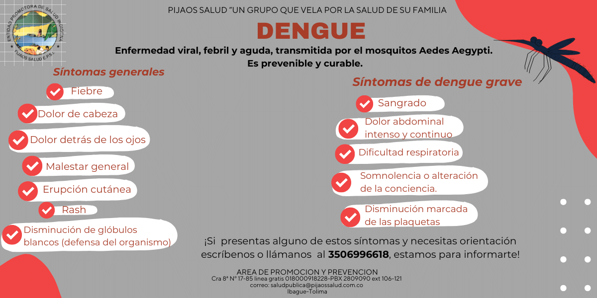 VOLANTE DENGUE